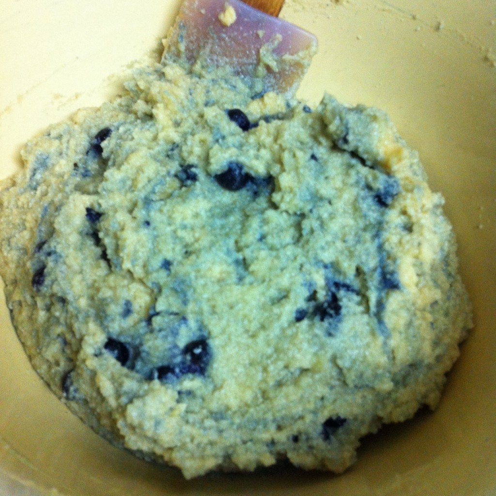 Paleo Coconut Flour Muffin